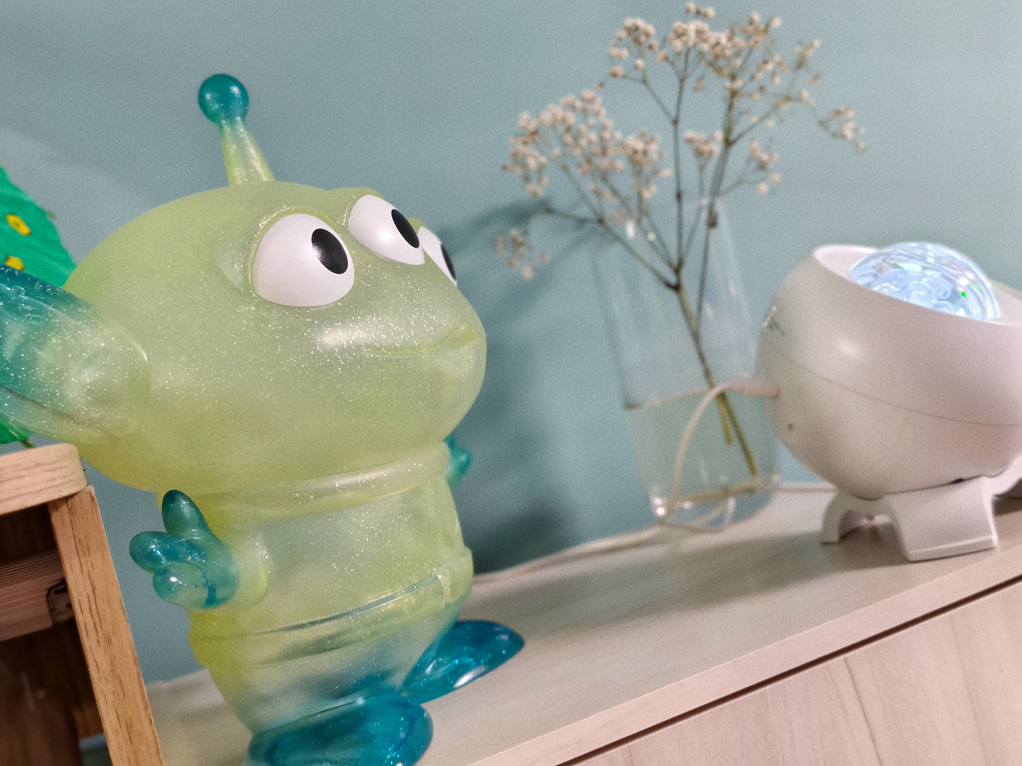 🥇高雄龍筋 菈菈（泰國認證證書）