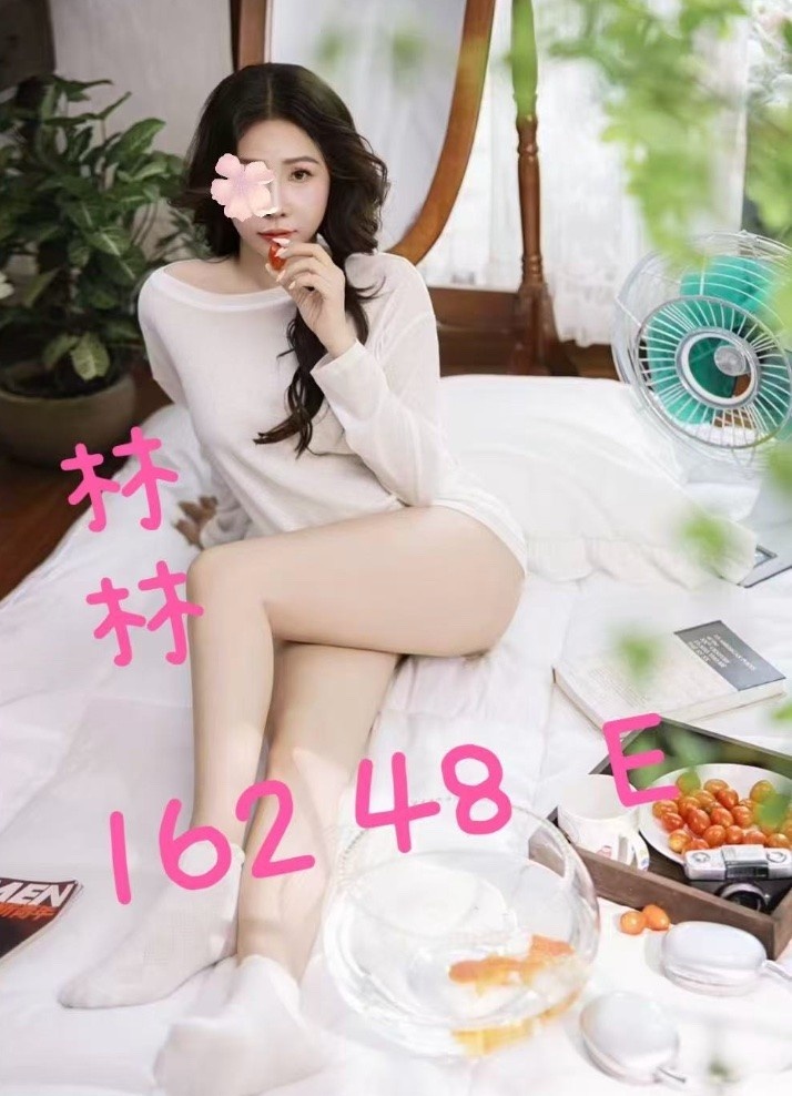 仙人掌個人工作室