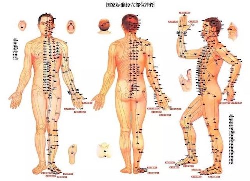 美莉姐經絡調理