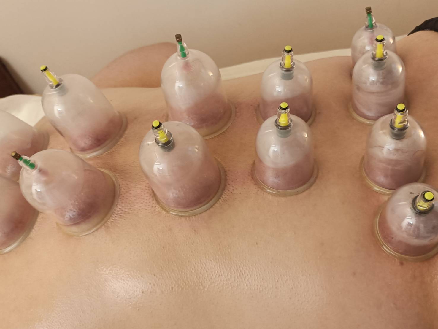 ✨小米✨正統泰式抓龍筋