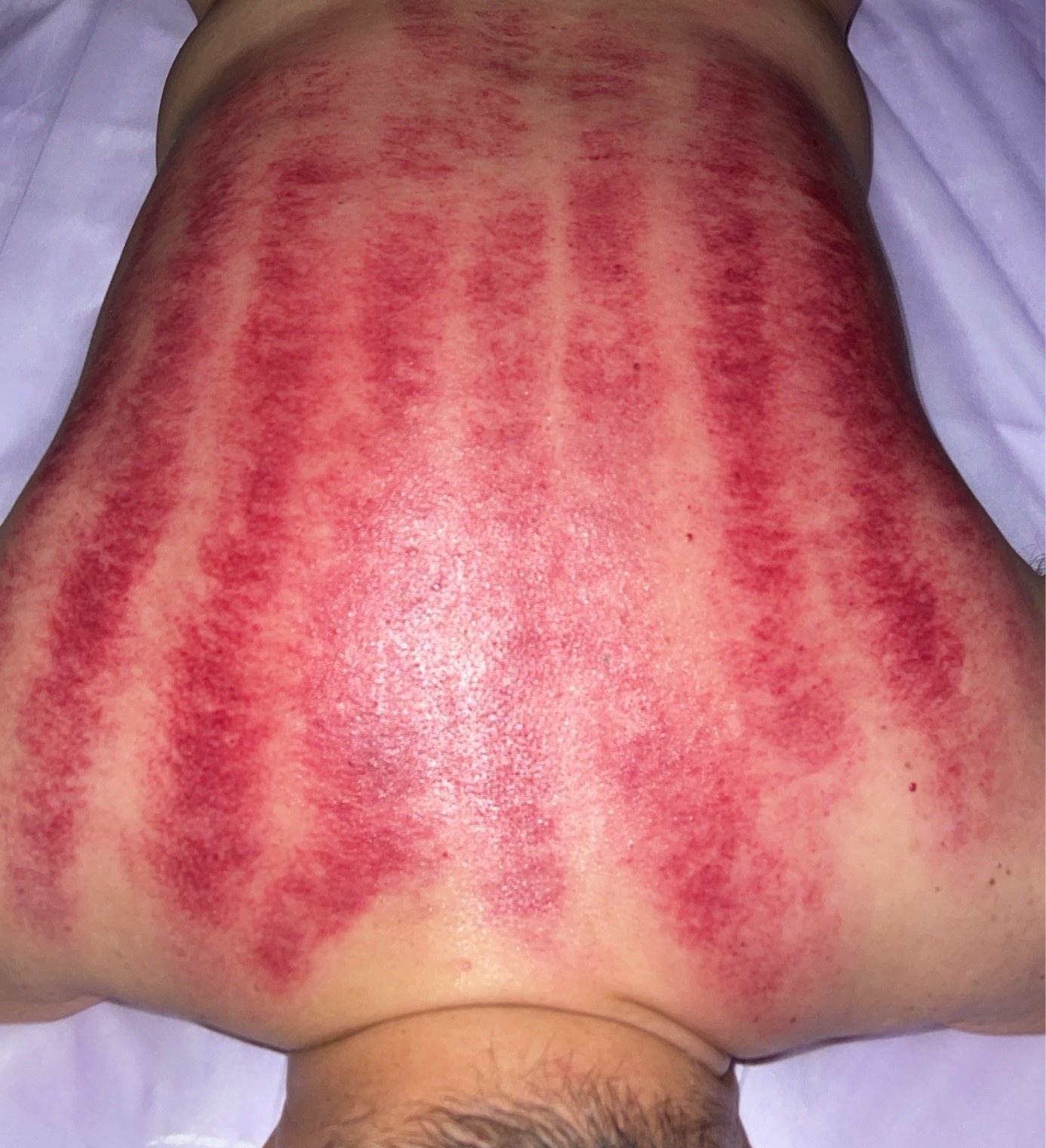 台灣個工 茉茉工作室  🈶證照