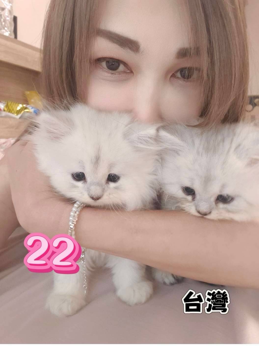 夏威夷男女舒壓會館