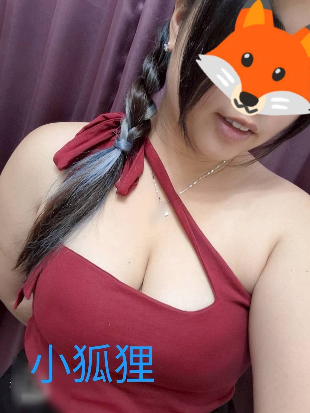 小狐狸