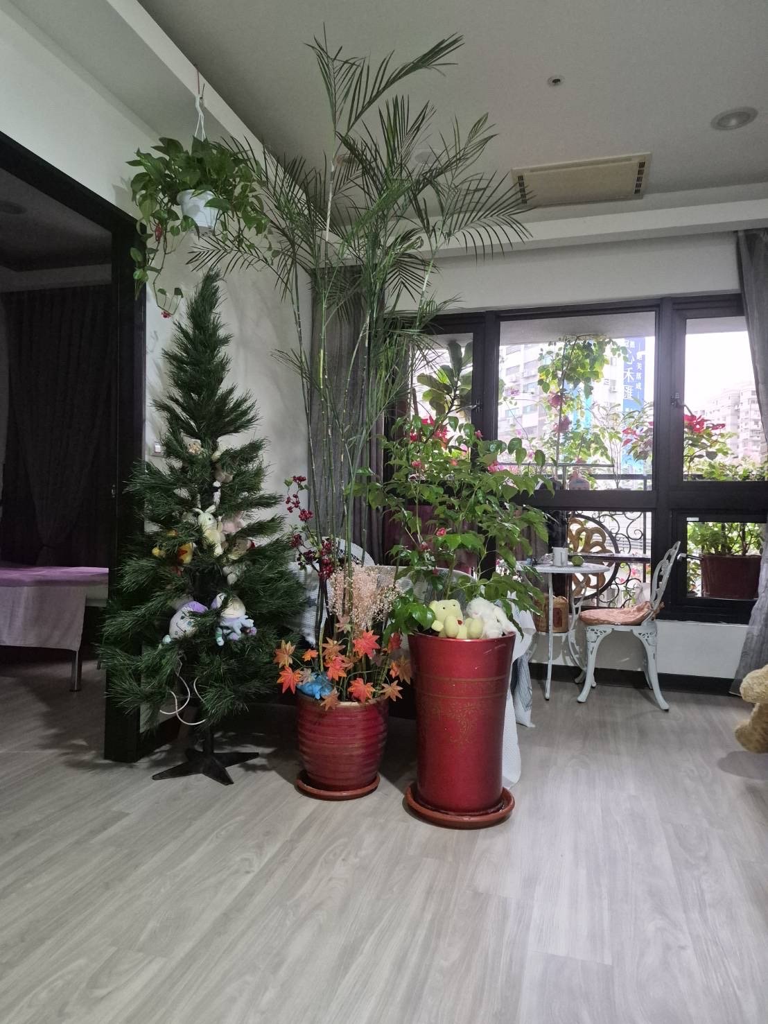 珊珊熟女工作室
